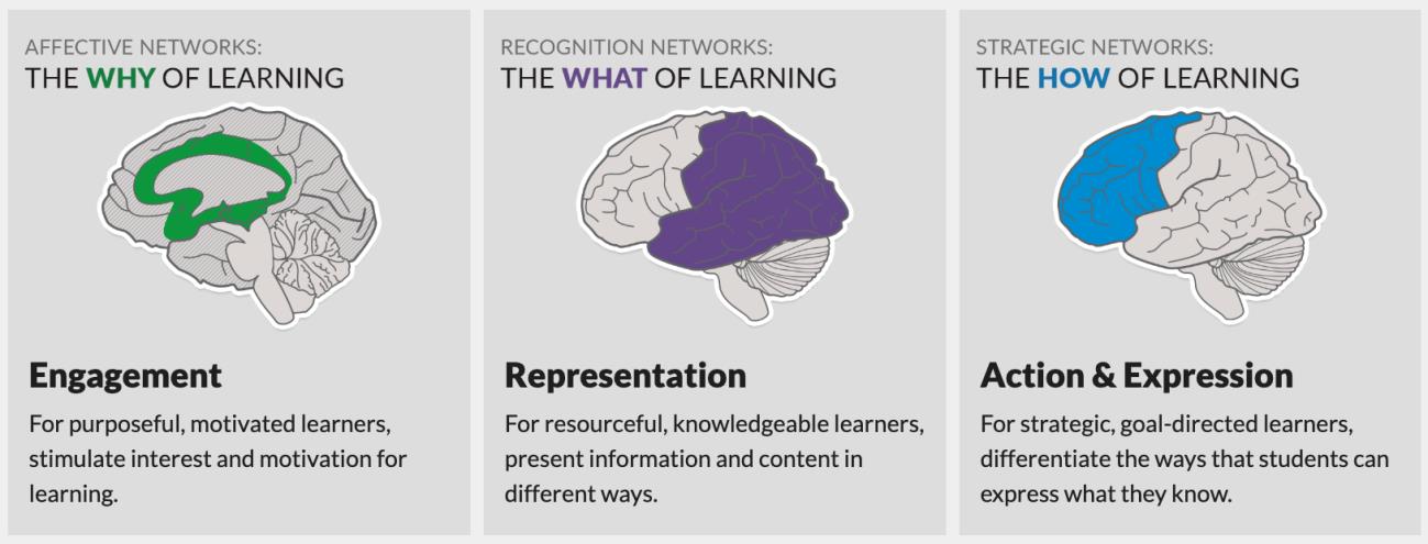 Worksheet UDL Framework Guide to Teaching with Technology