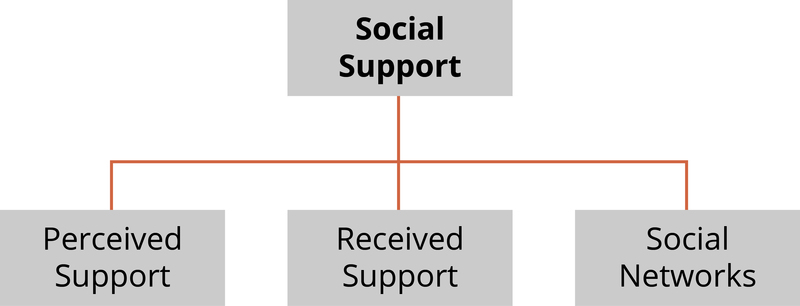 graphic on social support