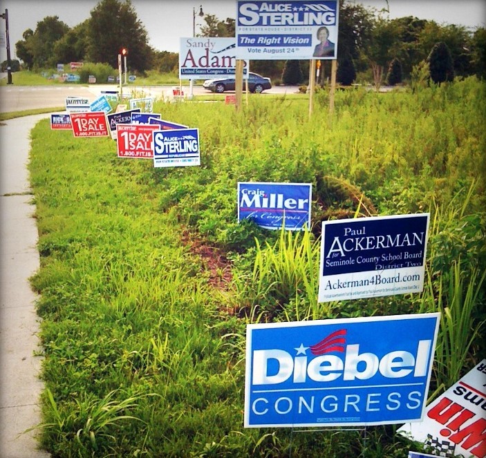 photo of grass and sidewalk with a lot of political signs