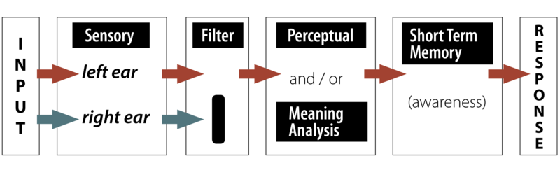 graphic of sensory input