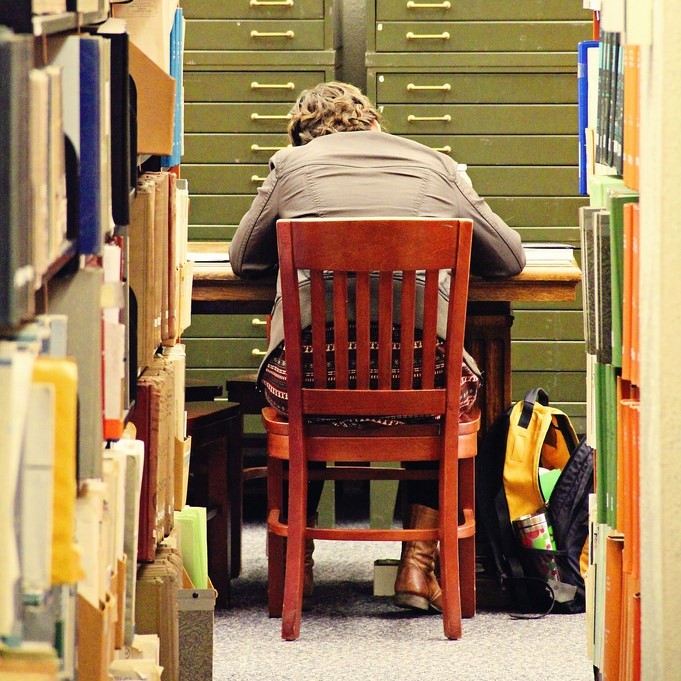 photo of the back of a person sitting at a desk between two books shelves 