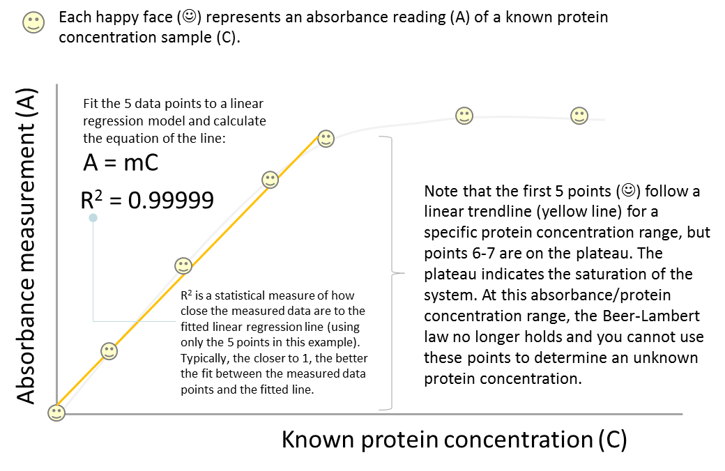 Schematic showing a typical graph of known protein concentration (x-axis) versus absorbance measurement (y-axis). The graph shows a linear part and a plateau. The linear range of protein concentration/absorbance is used to generate an equation of the line.