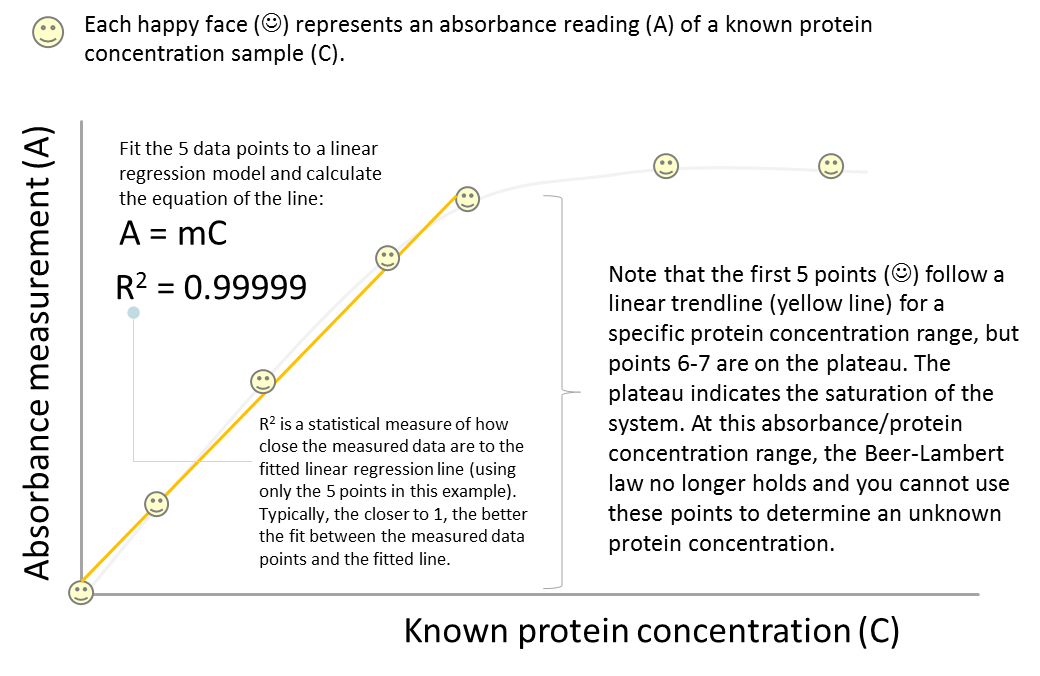 Chapter 8 Lab Overview And Background Information BBS OER Lab Manual