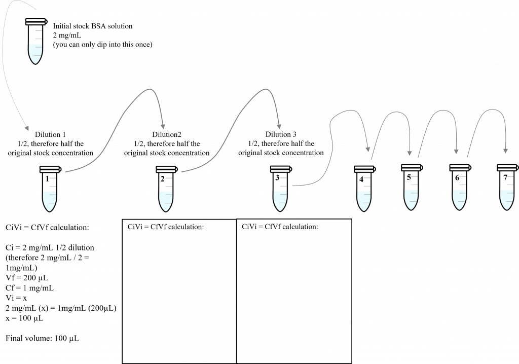 Schematic of seven serial dilutions that need to be completed prior to the lab time.