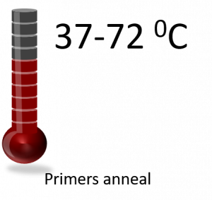 Thermometer showing 37-72 degrees Celsius