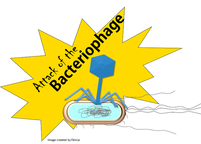 attack of the bacteriophage decorative image