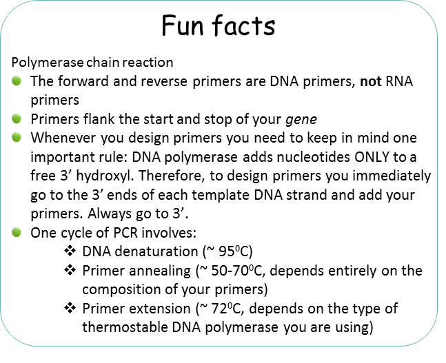 Fun facts - PCR.