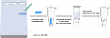 Chapter 3 Lab Overview and Background Information – BBS OER Lab Manual