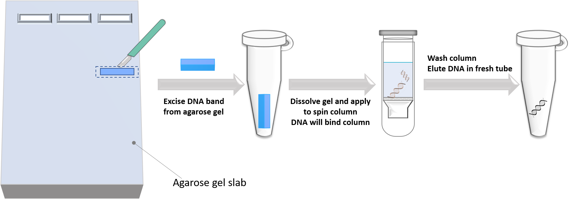 Chapter 3 Lab Overview and Background Information – BBS OER Lab Manual