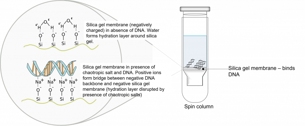Silica gel membrane technology