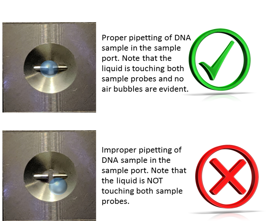 Examples of proper and improper pipetting of DNA sample on the nanodrop sample port.