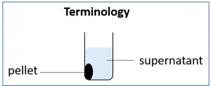 Image showing pellet and supernatant terminology