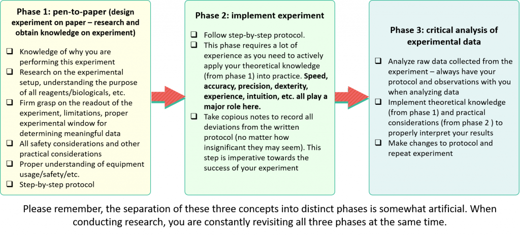 Diagram showing three phases to experimental design, along with descriptions for each phase.