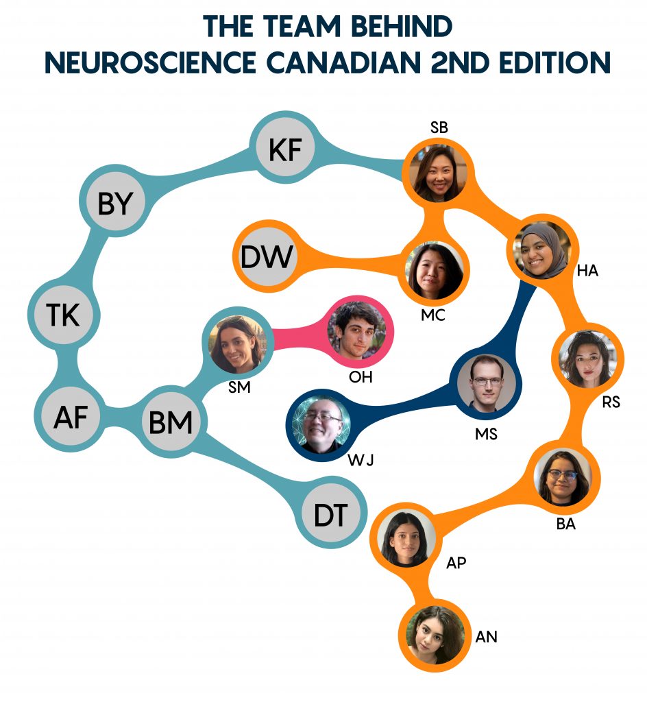 The headshots of the team arranged into the outline of a brain.