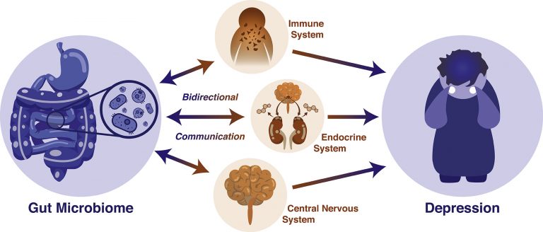 4.3 Dysbiosis and Depression – Neuroscience: Canadian 2nd Edition
