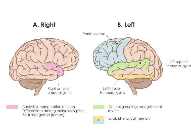 4.5 Neuroscience and Art – Neuroscience: Canadian 2nd Edition