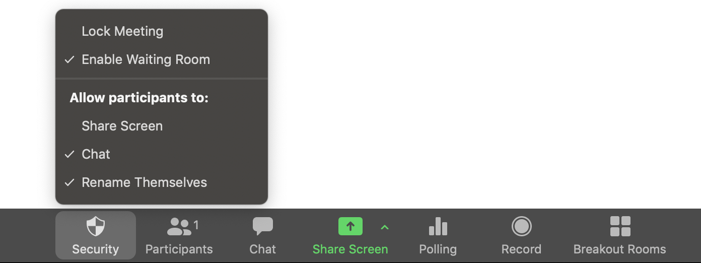 Image of Zoom's bottom menu bar during an active videoconference