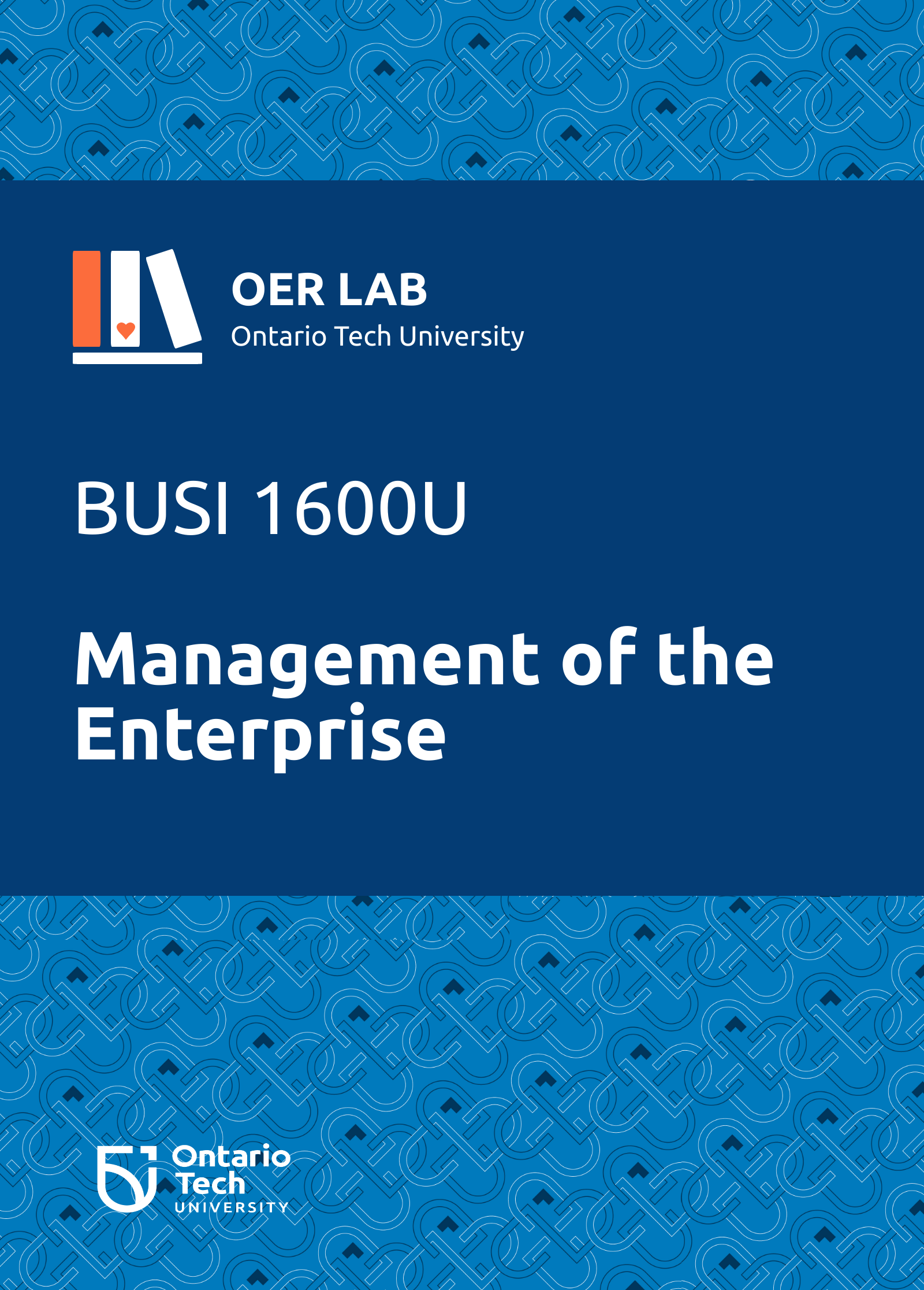 Cover image for Management of the Enterprise