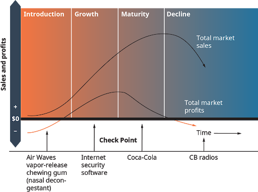 The product lifecycle