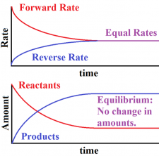 Chemical Equilibrium – First Year General Chemistry