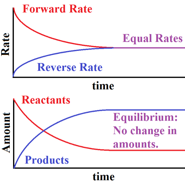 what hypothesis would help restore equilibrium