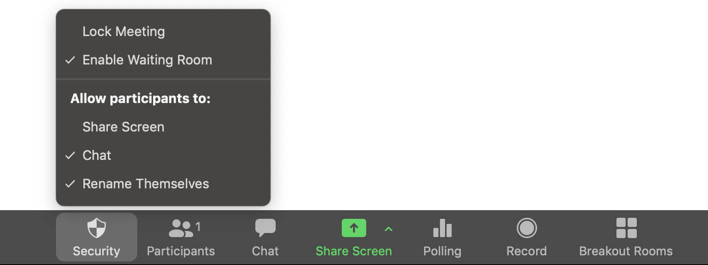 Image of Zoom's bottom menu bar during an active videoconference. Zoom has a number of security and interactivity features that are easily accessibly in the bottom screen of an active videoconference. These include: lock meeting, enable waiting room, Allow participants to (1) Share screen, (2) Chat, and (3) Rename themselves. Other options on the bottom bar include seeing participants, opening the chat, sharing screen, polling, recording the session, and creating breakout rooms.