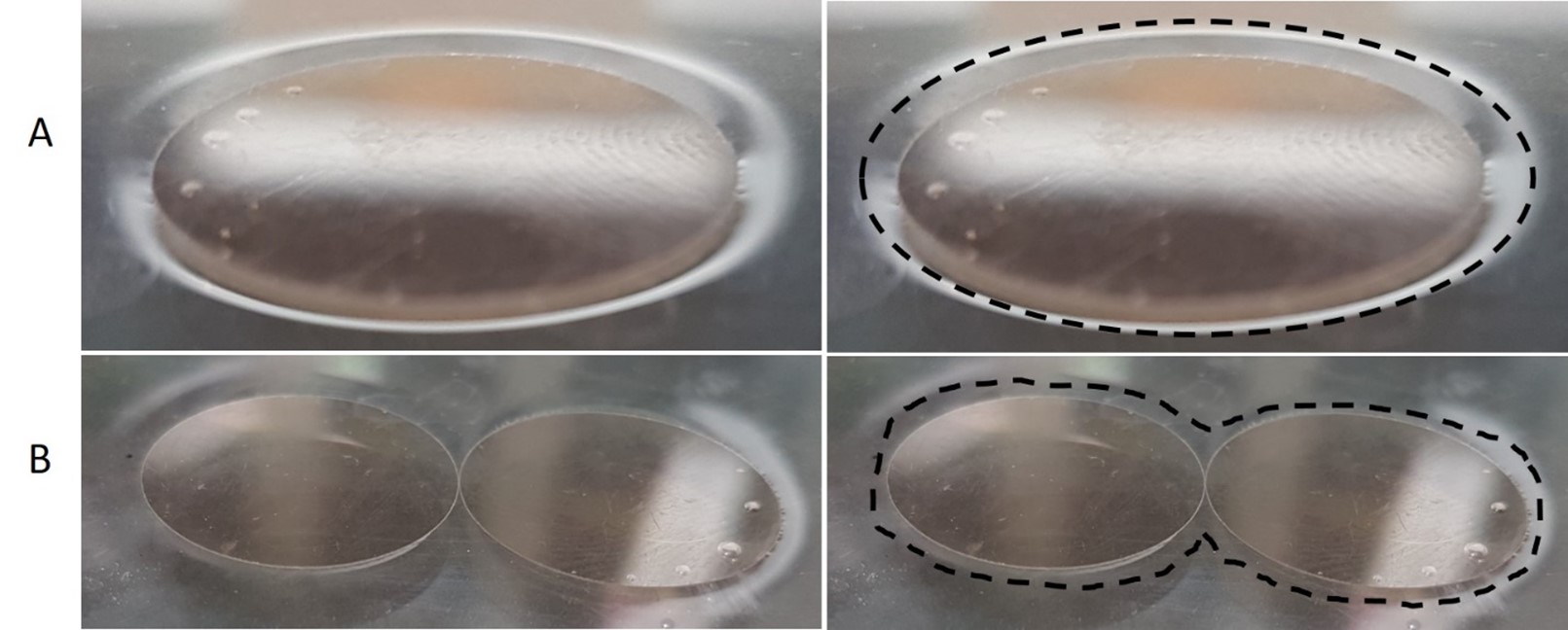A panel of four images showing circular mica disks (brown) on the surface of water. The discs create an indentation on the water surface that is identified with a dashed black line. The two images in the bottom half of the panel show two mica discs touching side-by-side, with the water indentation identified with a dashed black line around the two discs.