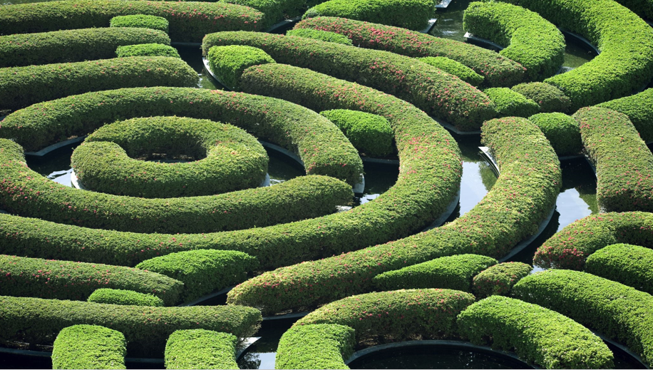 Navigating Organizational Learning is like a Maze