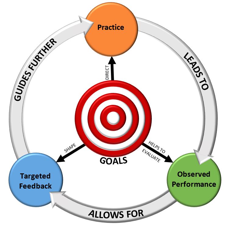 Cycle of Practice and Feedback