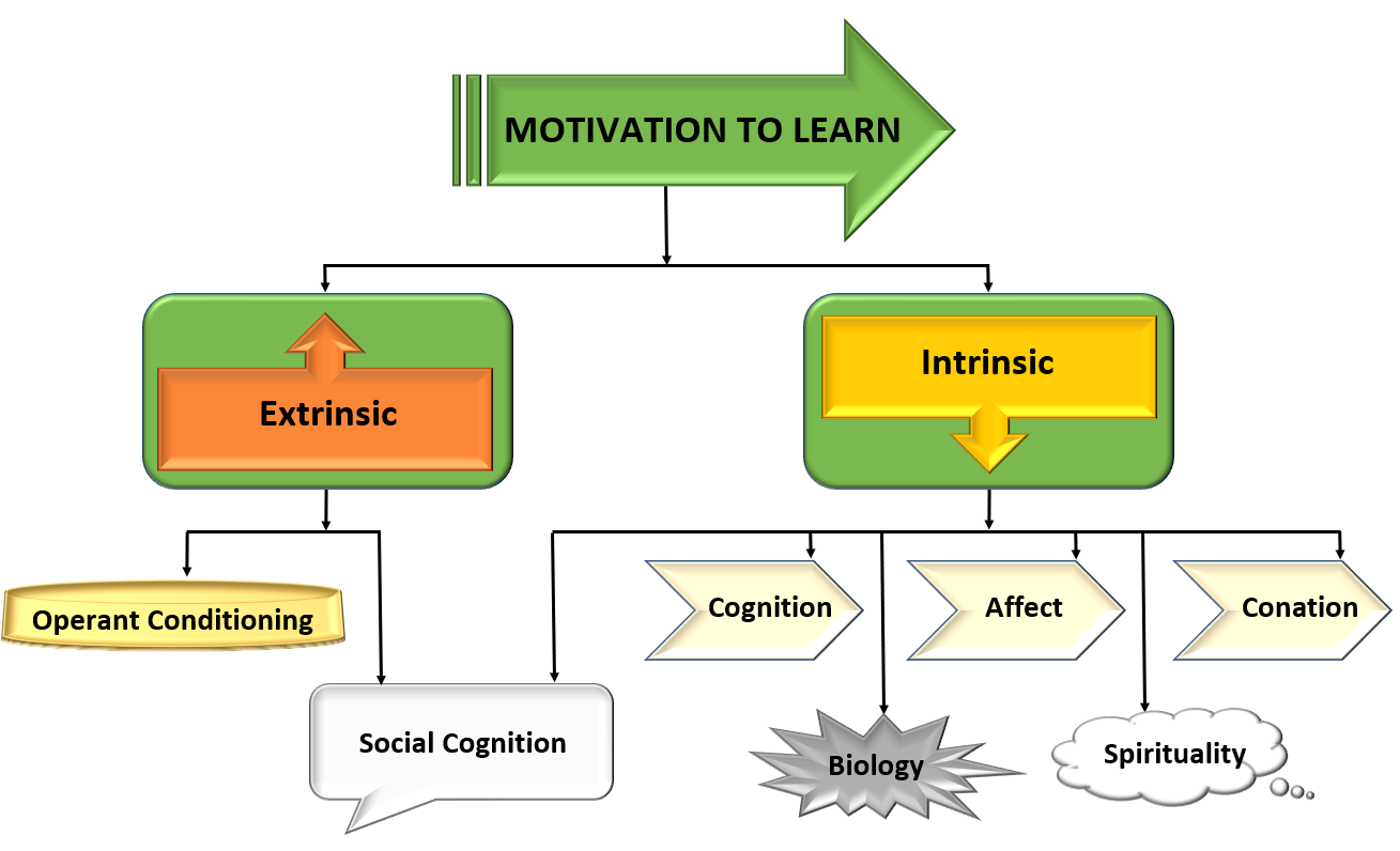 How extrinsic and intrinsic factors support motivation to learn