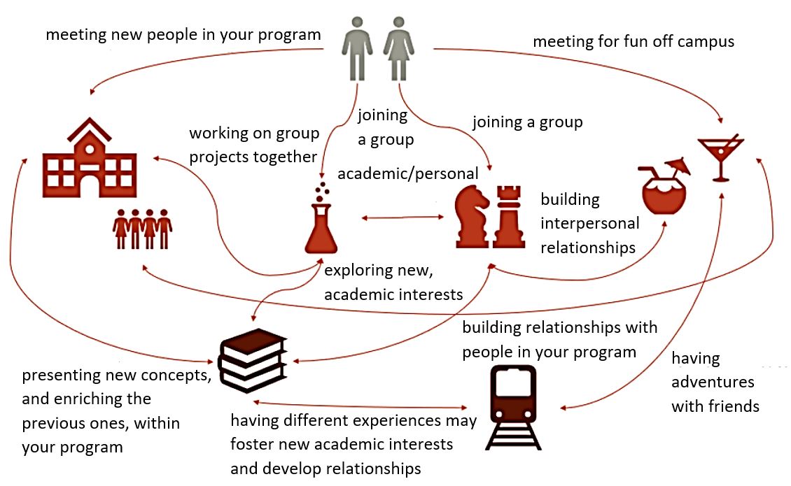 Using the concept of interdisciplinarity to explain the university student experience