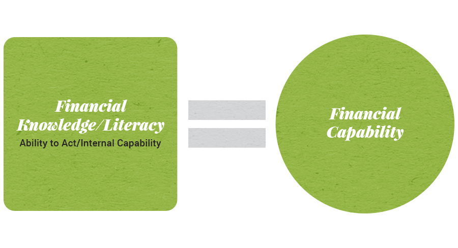 Phase 1 financial capability framework