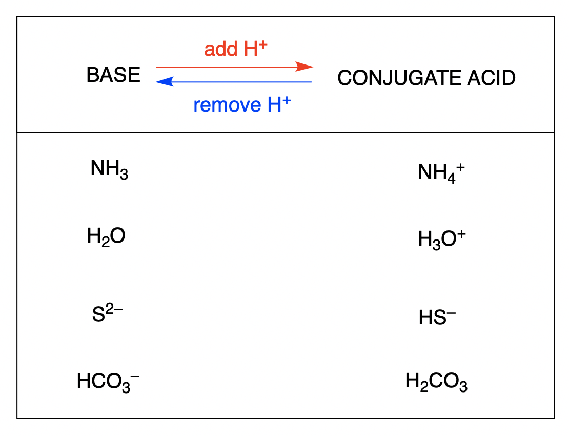 Enter the Conjugate Base for Each Acid.