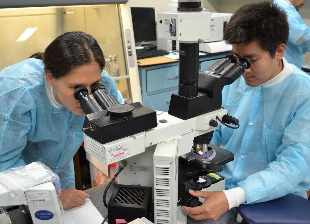 two people looking through the same microscope