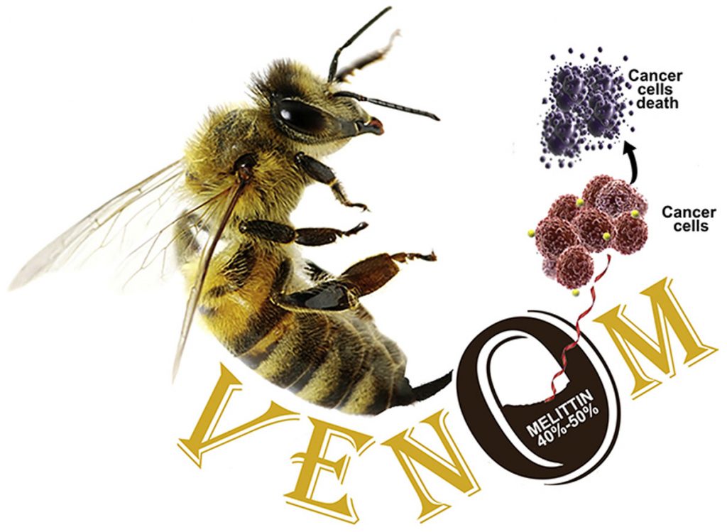 Chapter 3: Honey Bee Venom as a Potential Treatment in Aggressive ...