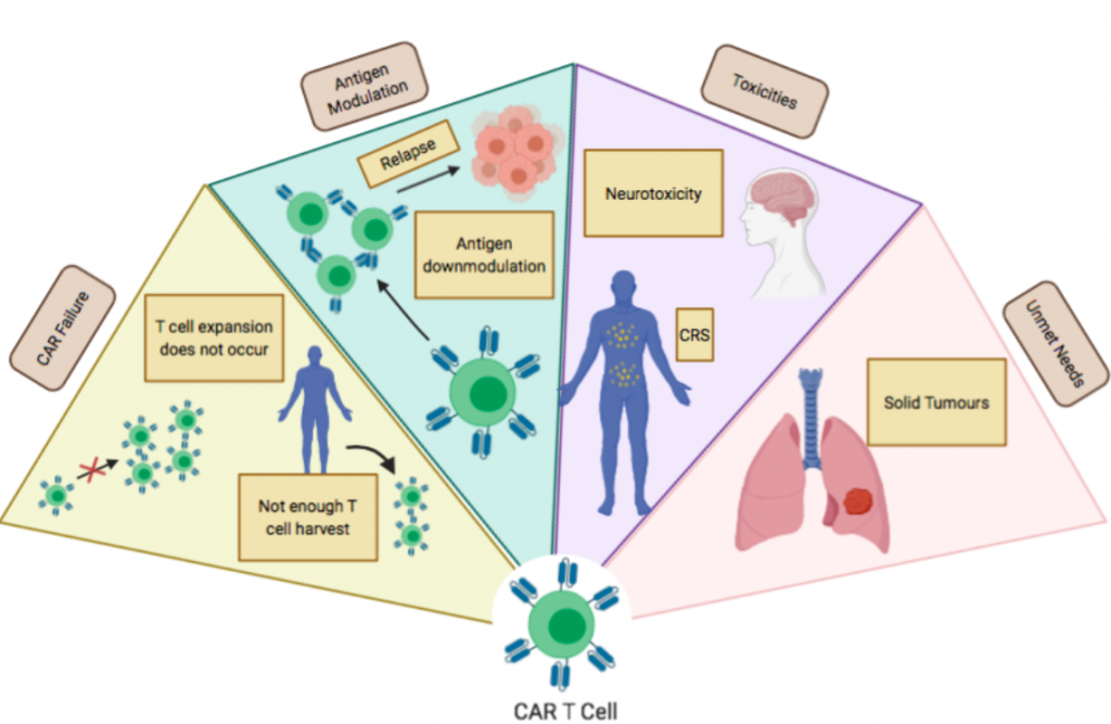 6.4 Limitations And Future Directions For CAR T Cells – Selected Topics ...