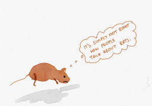 An unhappy rat thinking, "It's simply not right, how people talk about rats."